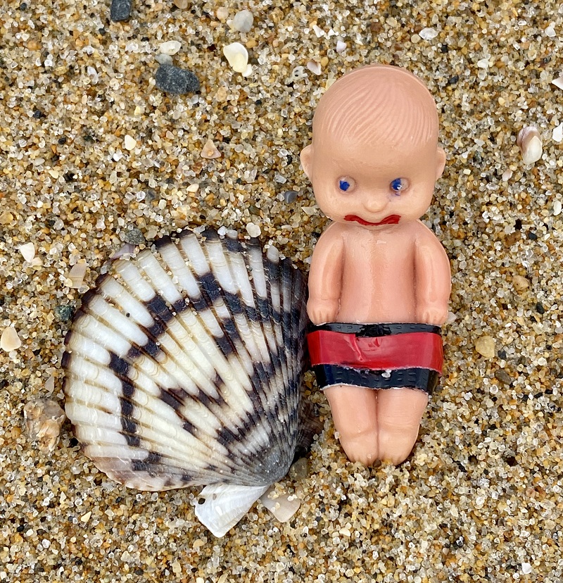 Brutus Baby and the Seashells 8